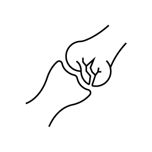 검사항목
