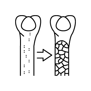 검사항목